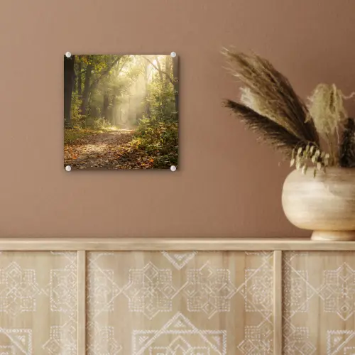 Zonlicht - Bospad - Bomen plexiglas 5mm klein -sfeer5