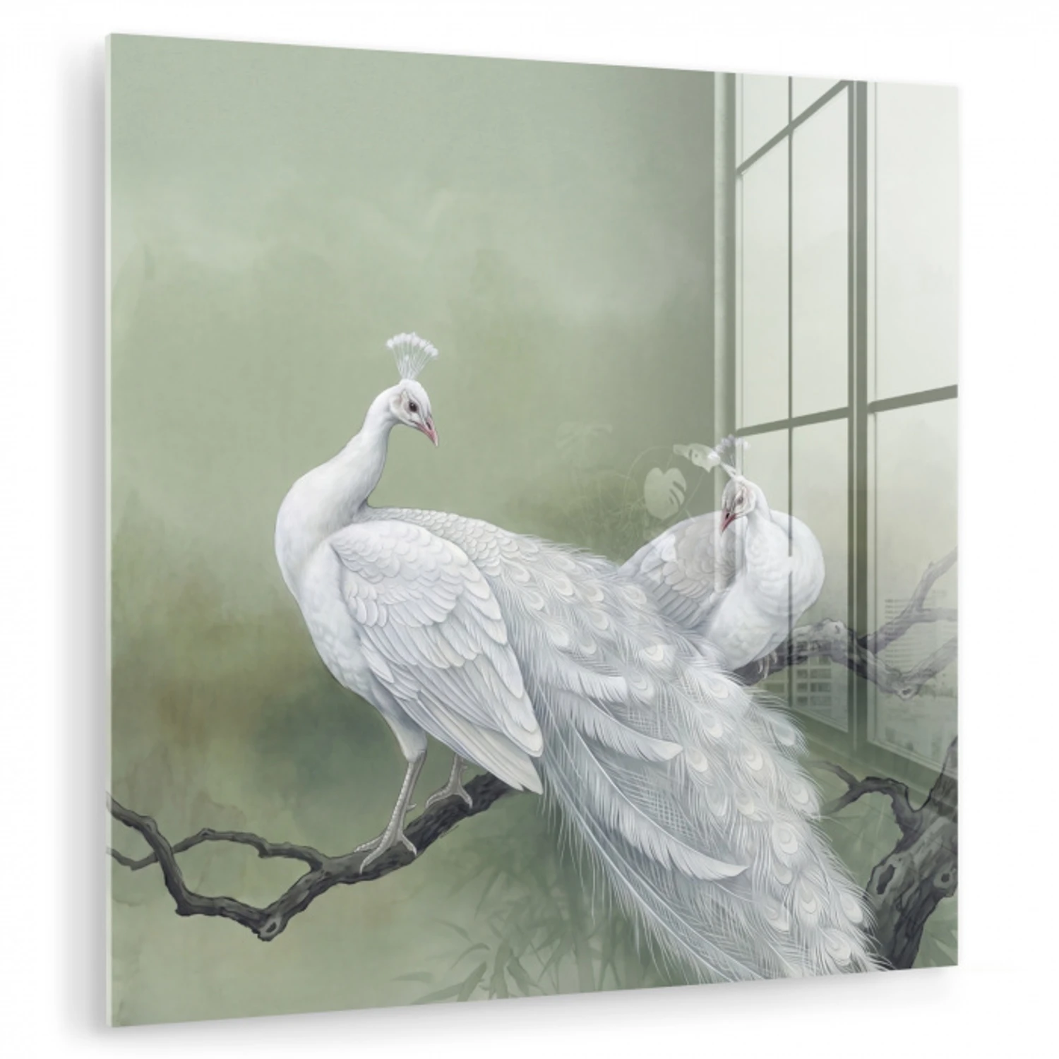 Pauwen - Wit - Natuur - Groen plexiglas 5mm klein -zzzproduct_nieuw