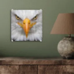 Amerikaans - Zeearend - Portret - Geel plexiglas 5mm klein -sfeer3