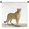 Luipaard - Dieren - Witte achtergrond - Kinderen - Jongens - Meisjes Wandkleed katoen klein -zz3d