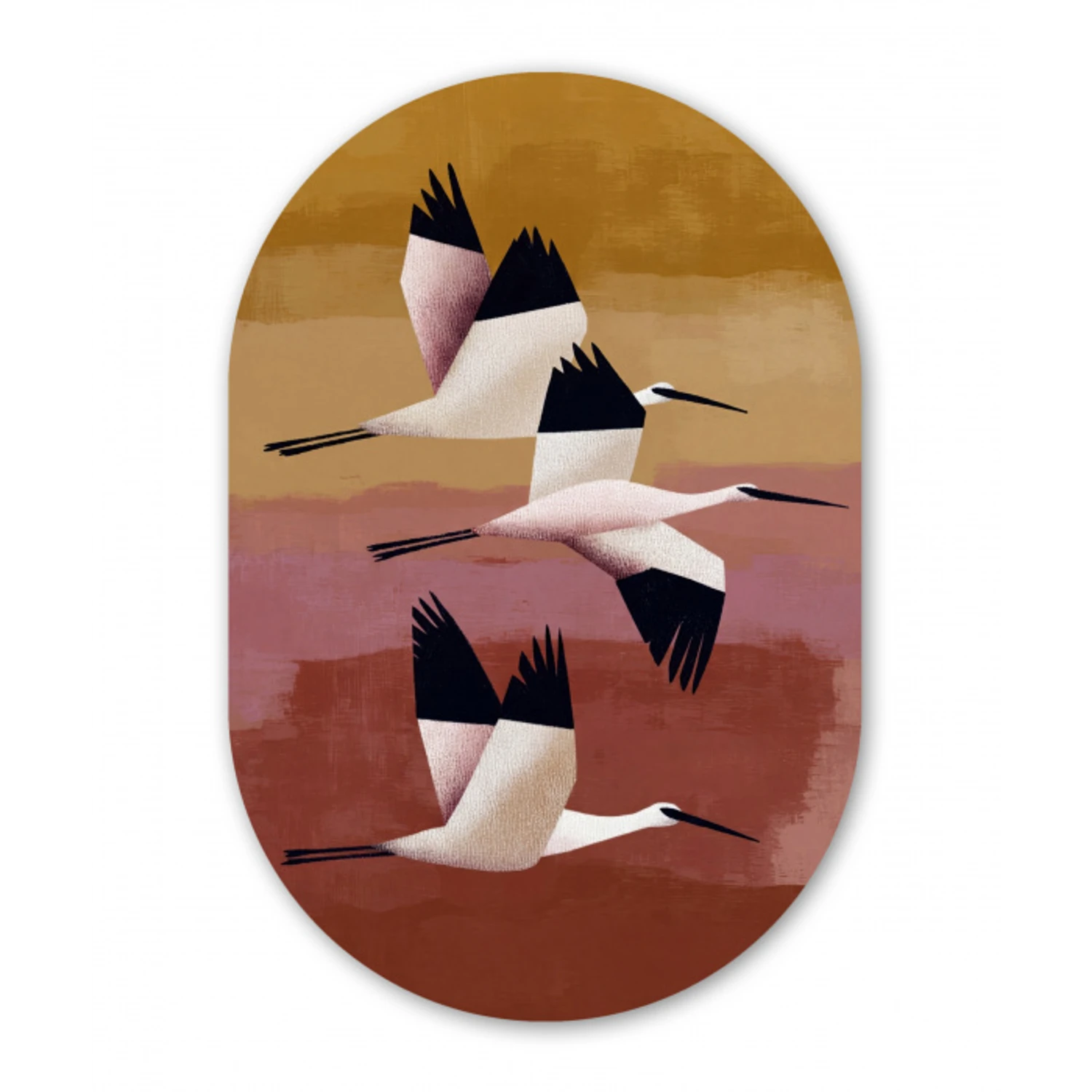 Vogels - Snavel - Abstract Wandcirkel Ovaal Aluminium middel -3d