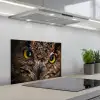 Uil - Dier - Oranje keuken achterwand spatscherm klein -3d_schuin
