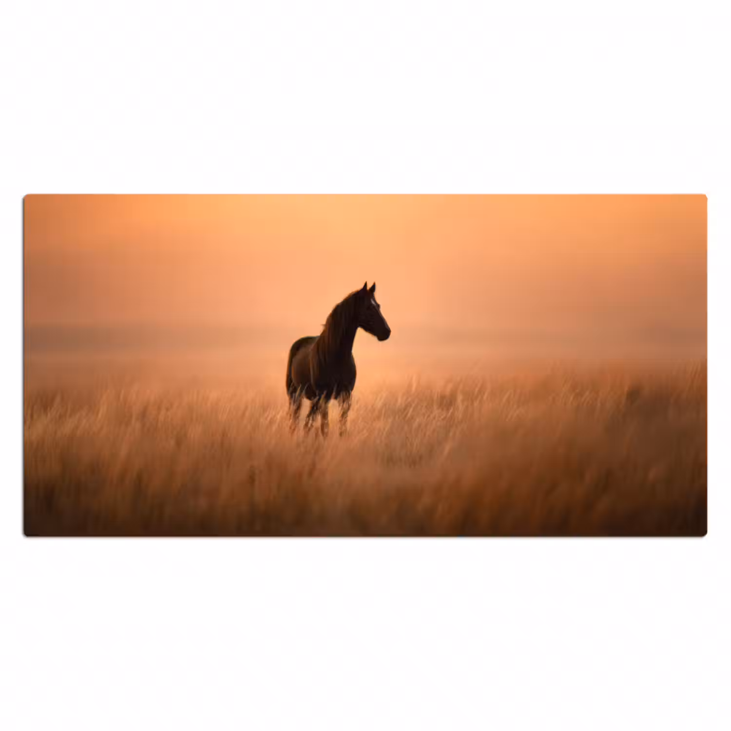 Schreibtischunterlage - Pferd - Wiese - Sonnenuntergang