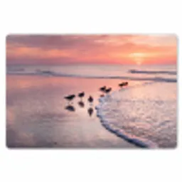 Meeuwen - Strand - Zee - Roze Placemat vinyl groot -zzsfeer1_Kitchenyeah-website