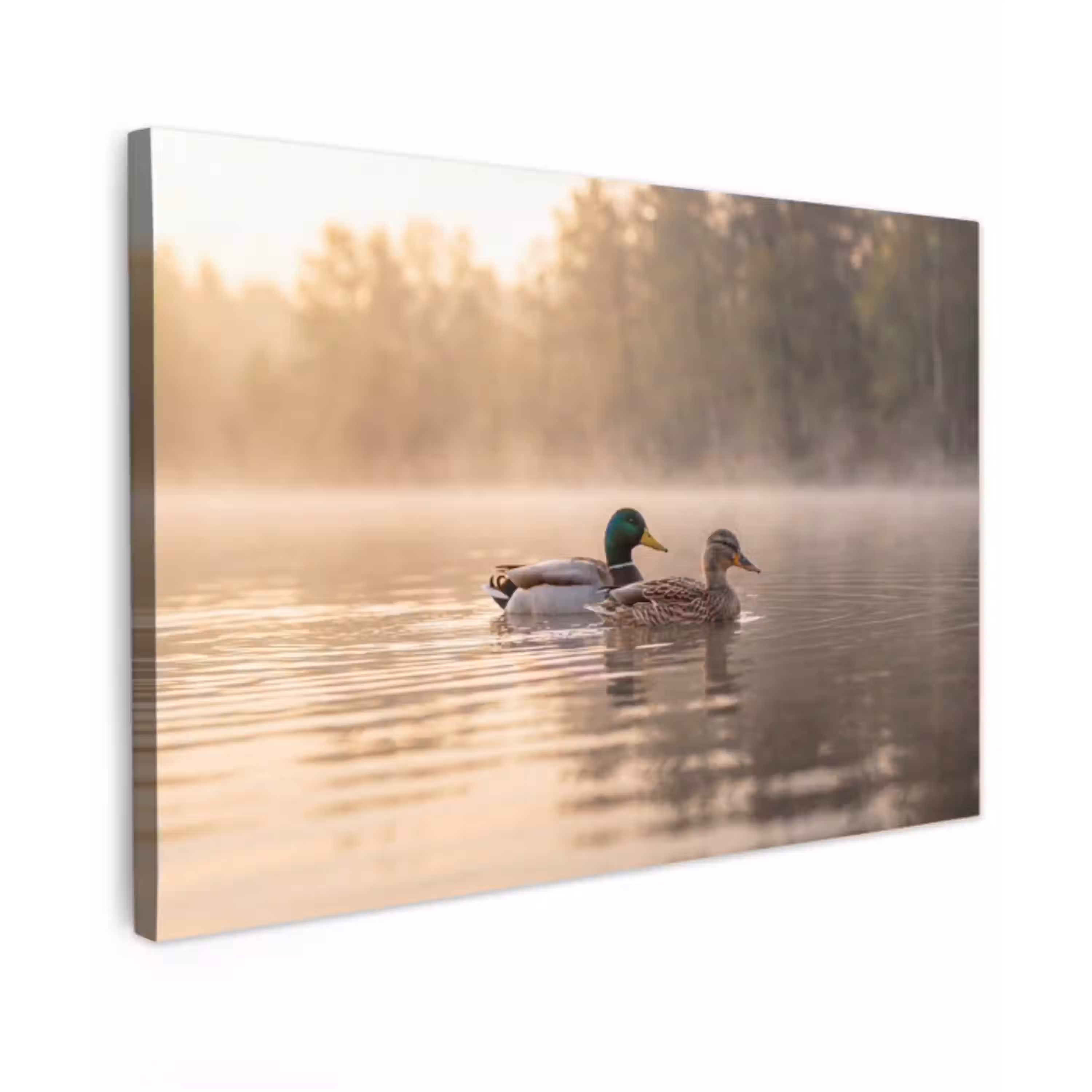 Eenden - Water - Mist - Natuur Tuinposter op houten frame 2 cm dik klein -3d