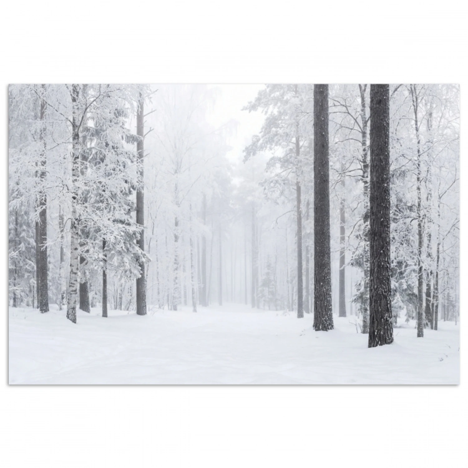 Bos - Sneeuw - Pad - Winter - Stilte poster papier klein -3d