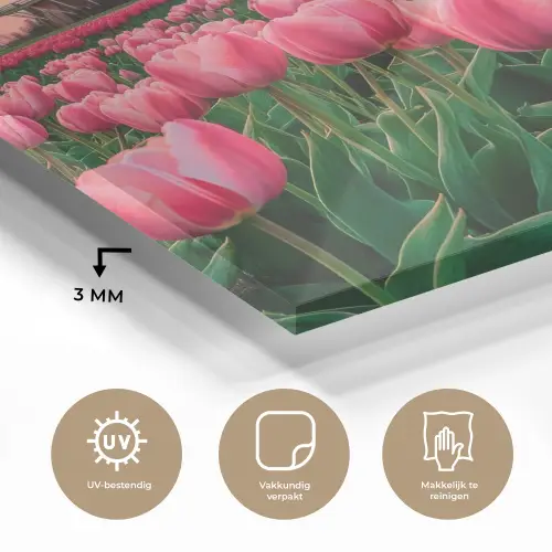 Tulpen - Molen - Nederland plexiglas 5mm klein -sfeer2