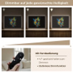 Papegaai - Vogel - Dier - Kleurrijk - Verf Light Box met batterij (Wandlamp kind) middel -USP_dimbaarDE