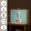 Roodborstje - Vogel - Koksmuts - Sokkel Light Box met batterij (Wandlamp) middel -USP_websiteoverzichtNL
