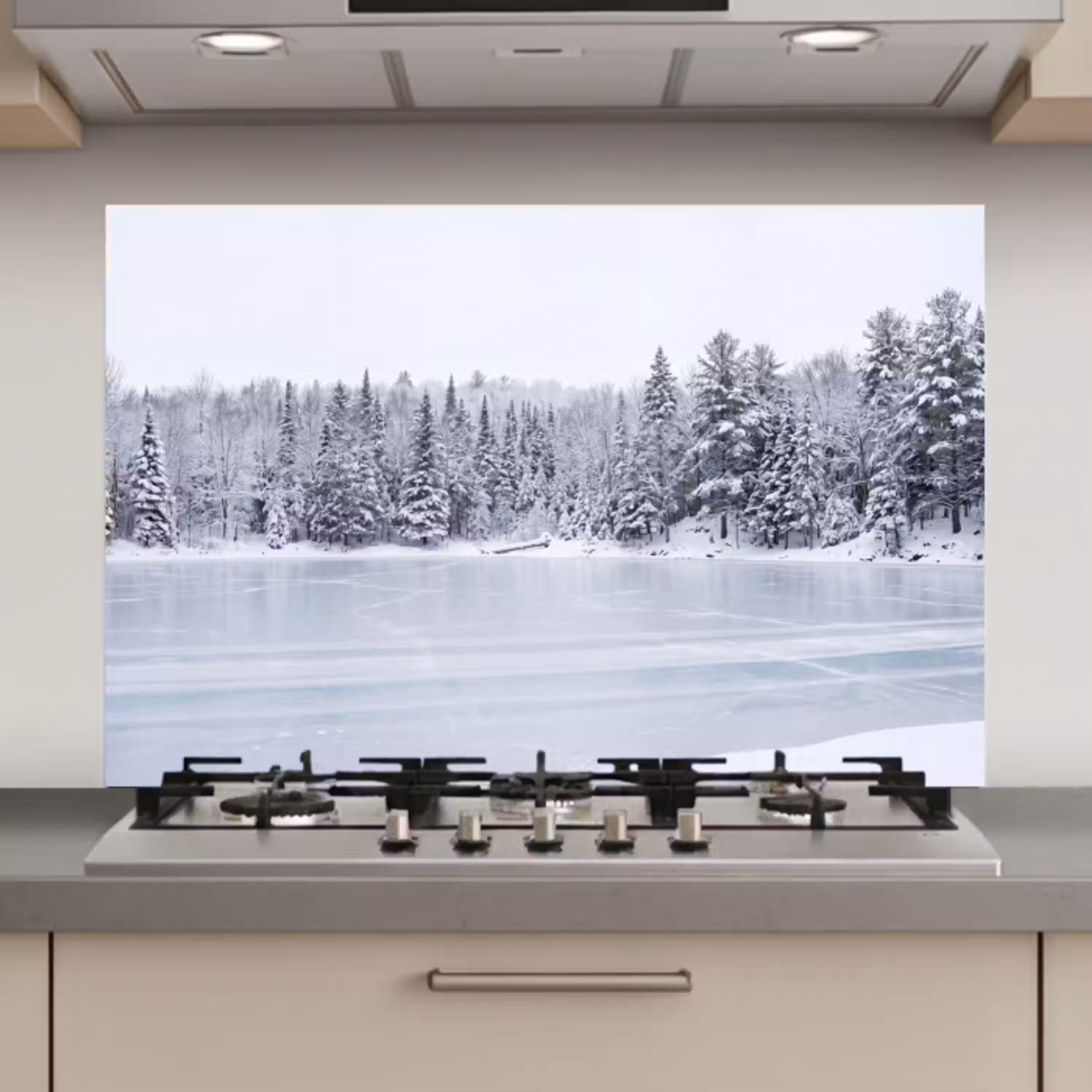 Meer - Dennen - IJs - Winter - Rustgevend keuken achterwand spatscherm klein -3d_website