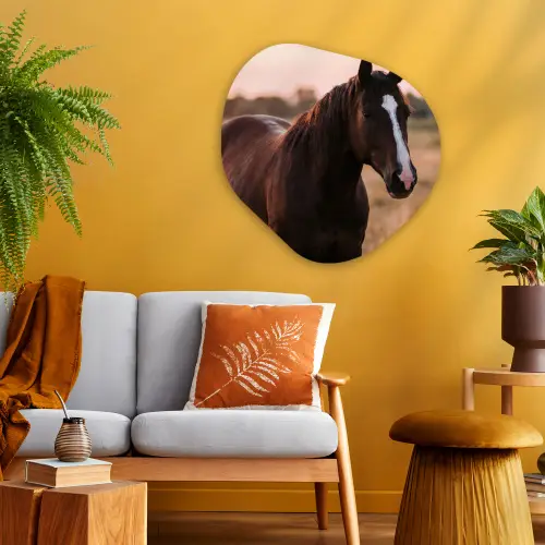 Paard - Zonsondergang - Bruin Wandcirkel Organisch Aluminium middel -sfeer4