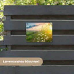 Bloemen - Madelief - Natuur - Zon - Horizon tuinposter los doek klein -sfeer3