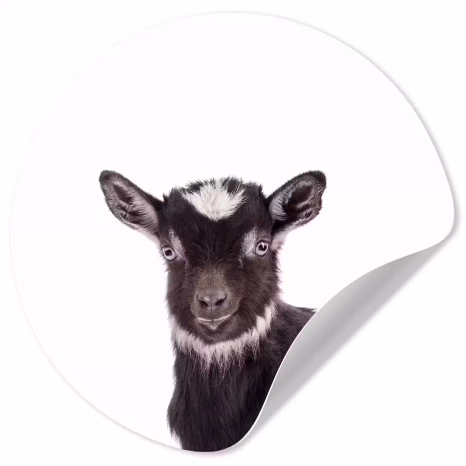 Behangcirkel - Boerderijdieren - Geit - Kind - Jongen - Meisjes