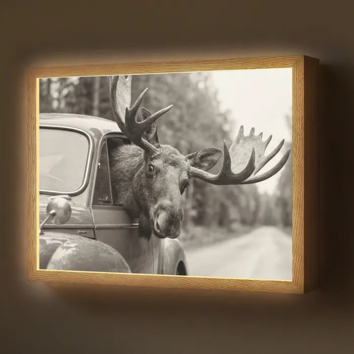 Eland - Auto - Gewei - Zwart - Wit Light Box met batterij (Wandlamp) middel -z3d_website