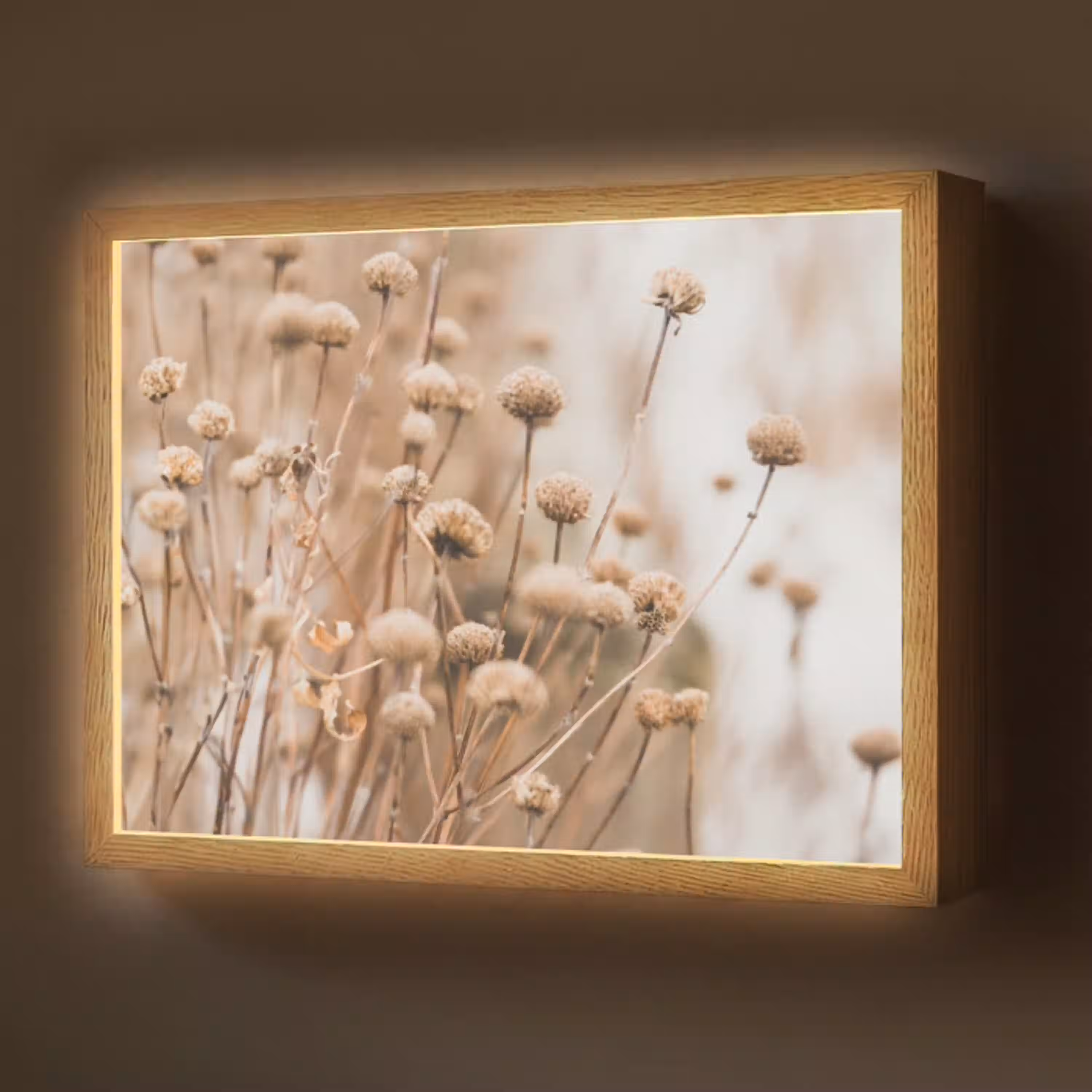 naturals-desenio-ferrari-ai-sfnoyeihvtbloacr-light-box-met-batterij-wandlamp-middel-z3d-website.jpg