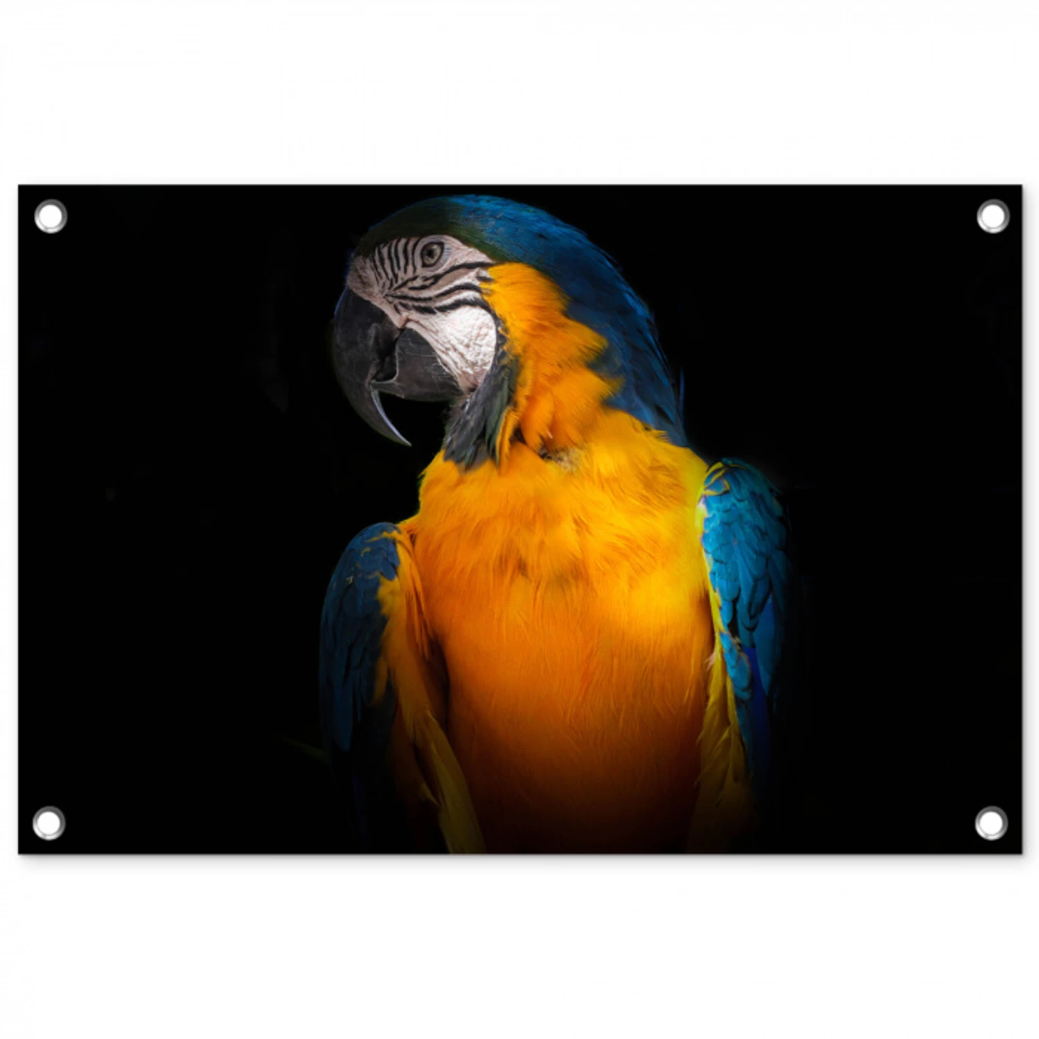 Dieren - Papegaai - Vogel tuinposter los doek klein -3d