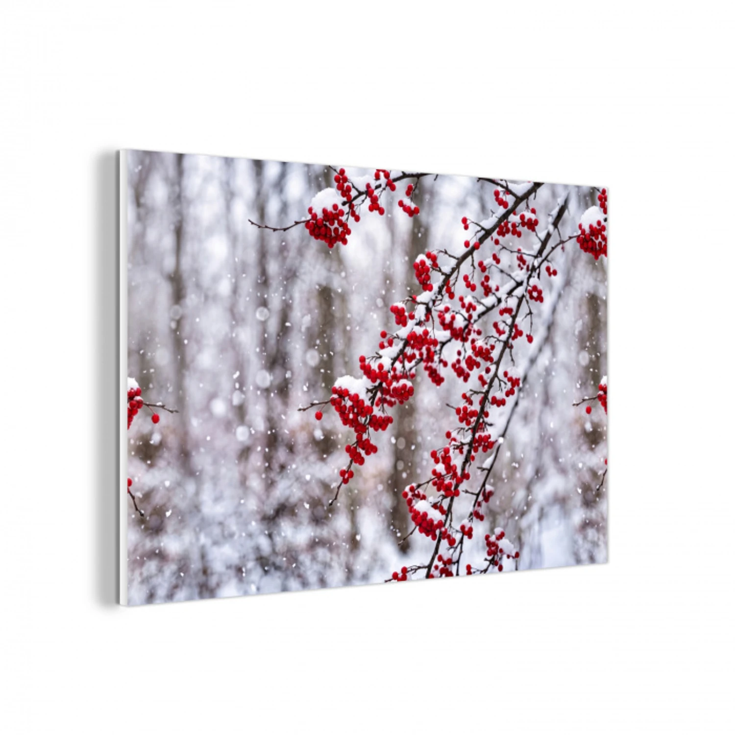 Bessen - Takken - Sneeuw - Winter - Kleurrijk forex 5mm xxl -3d