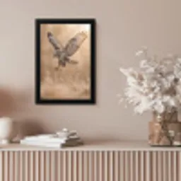 Buizerd - Roofvogel - Natuur - Bruin fotolijst zwart zonder passe partout klein -sfeer5