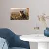 Koala - Bladeren - Ochtendlicht poster papier klein -sfeer3