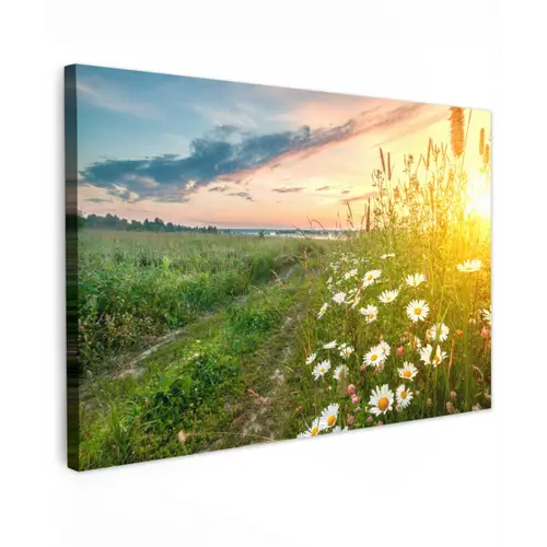 Wilde bloemen in de ochtendzon Tuinposter op houten frame 2 cm dik klein -3d