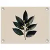Laurierbladeren - Bloemknoppen - subtiel tuinposter los doek klein -3d