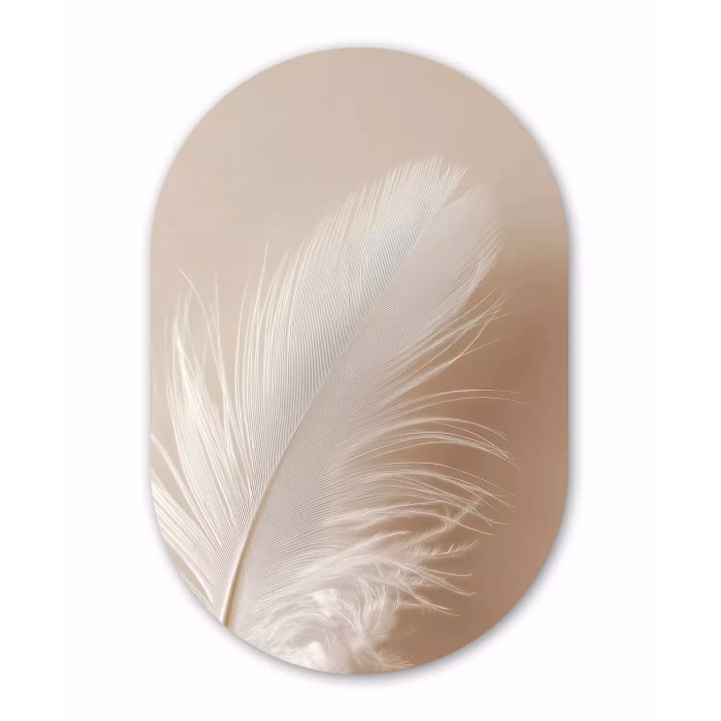 Veer - Minimalistisch - Roze Wandcirkel Ovaal Glas middel -3d