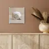 Schelp - Spiraal - Beige plexiglas 5mm klein -sfeer5
