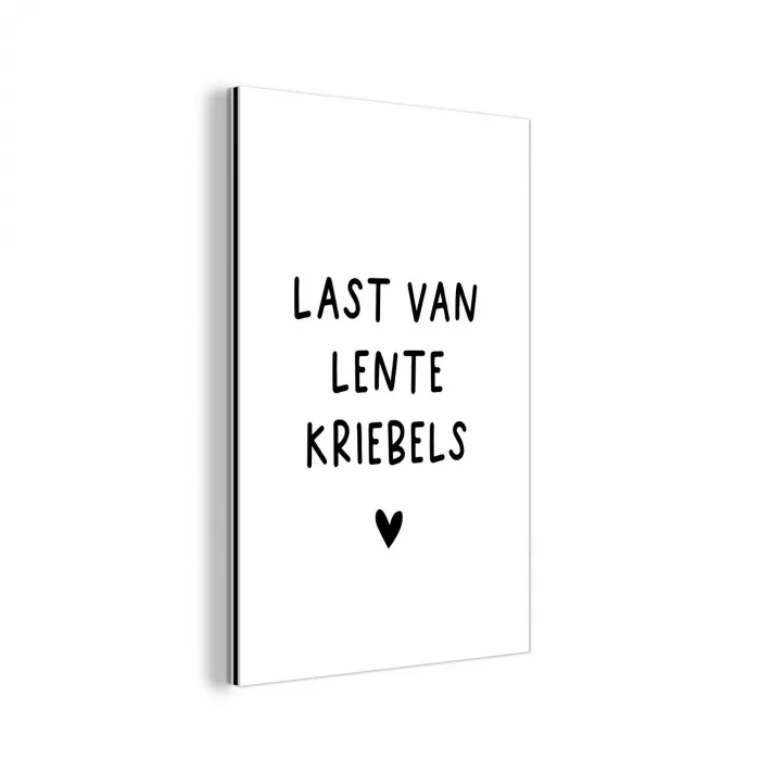 Quotes - Last van lentekriebels - Spreuken aluminium wit klein -3d