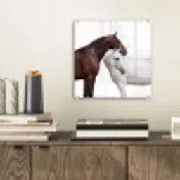 Paard - Modern - Balans plexiglas 5mm klein -sfeer1