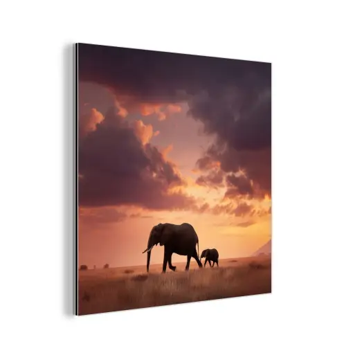 Olifanten - Grasland - Zonsondergang aluminium wit klein -3d