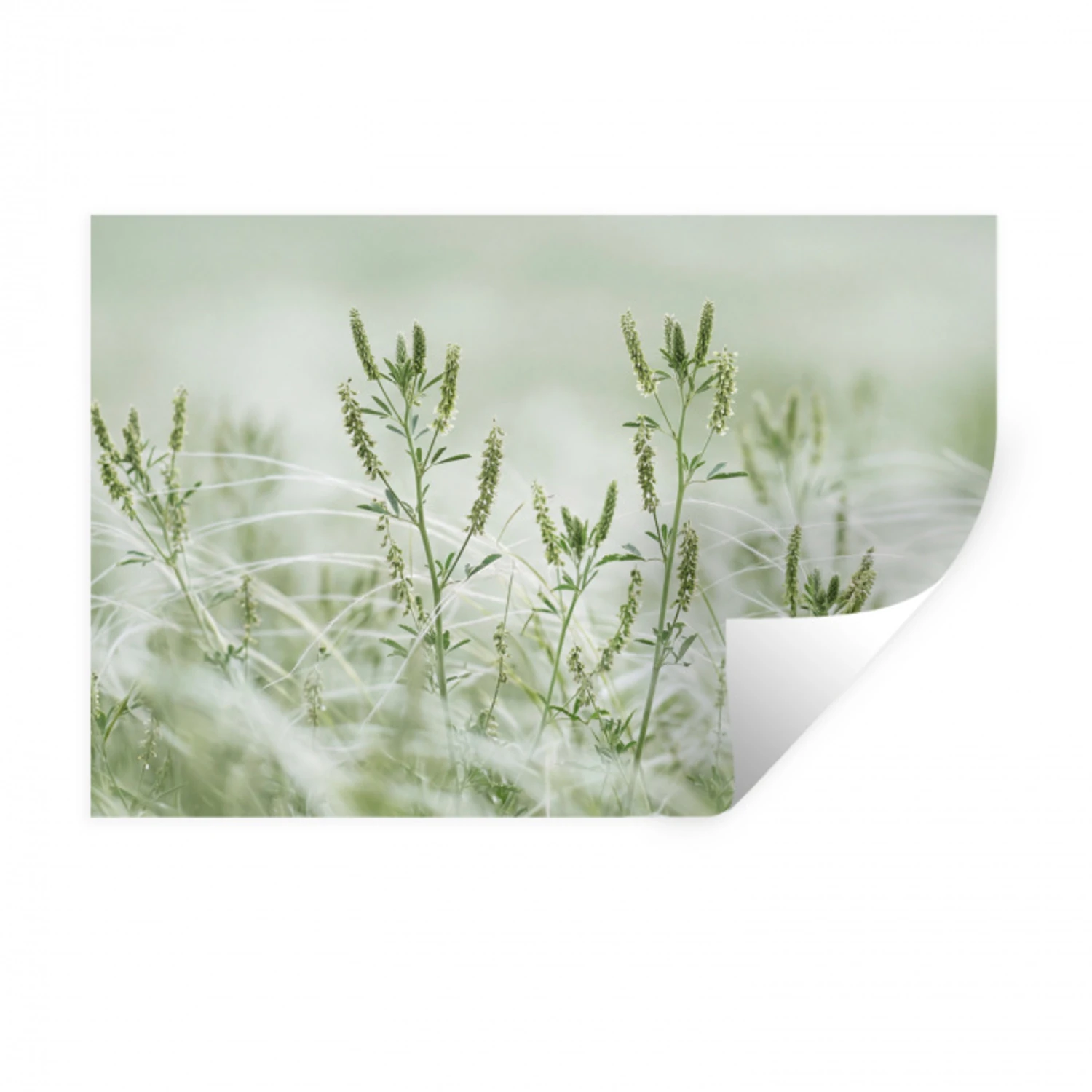 Grassen - Minimalistisch - Groen Muursticker klein -3d