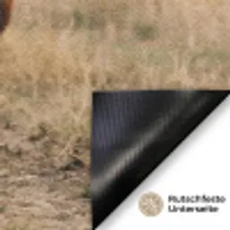 Runderen - Kudde - Landschap - Weide - Rustig Deurmat klein -antislip_DE