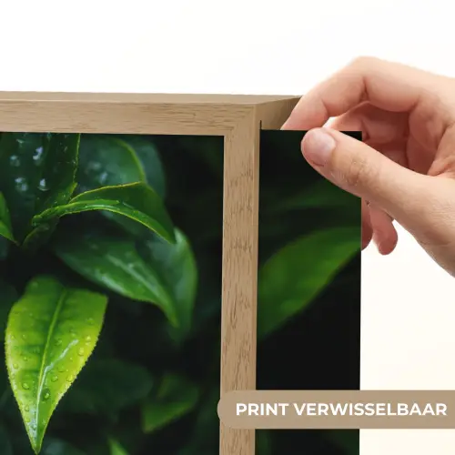 Bladeren - Regendruppels - Licht - Groen Light Box met batterij (Wandlamp) middel -USP_websiteprintNL