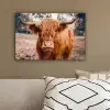 Koe- Schotse hooglander - Hoorns - Bruin - Landschap canvas 2cm klein -sfeer3