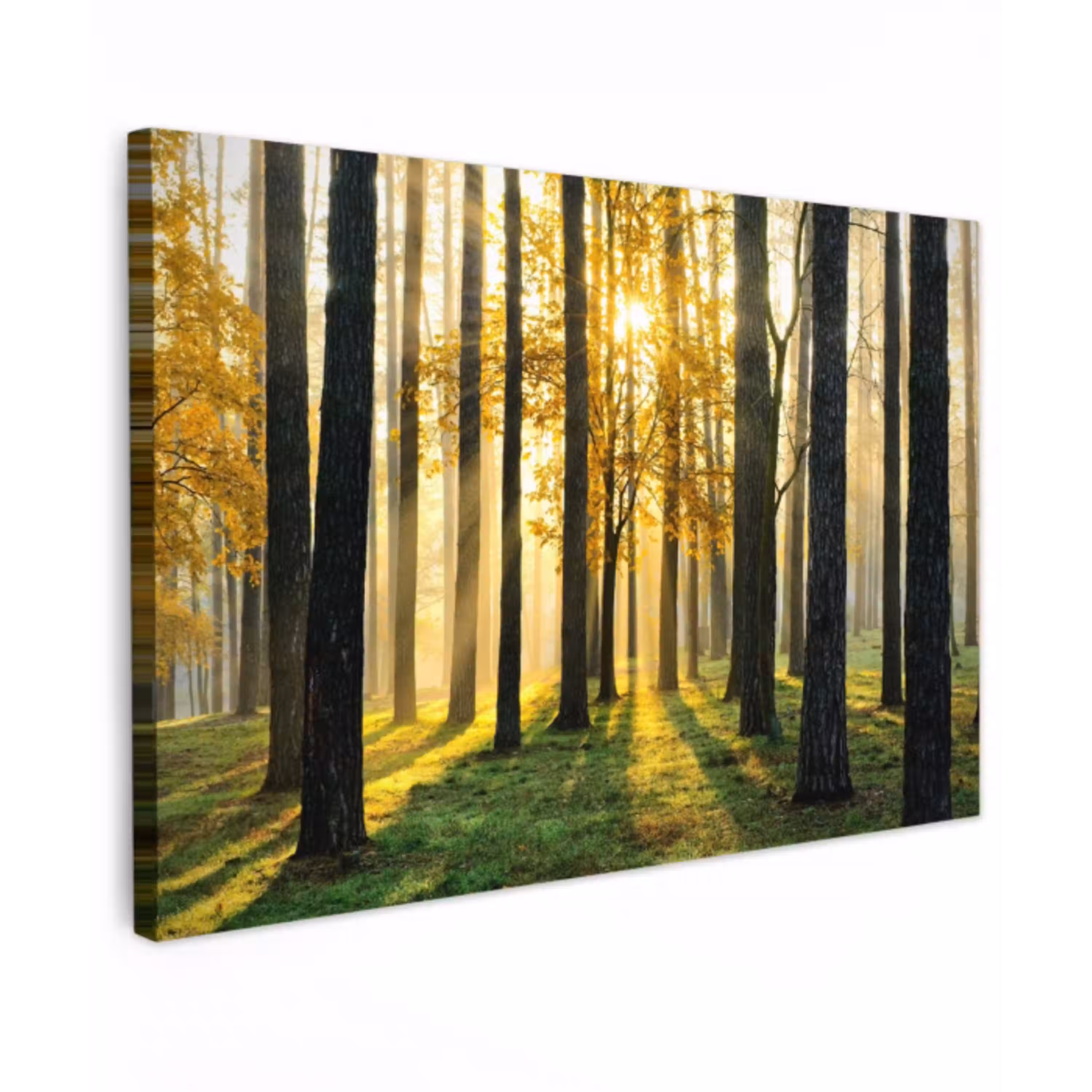 Gouden bos bij zonsopgang Tuinposter op houten frame 2 cm dik klein -3d