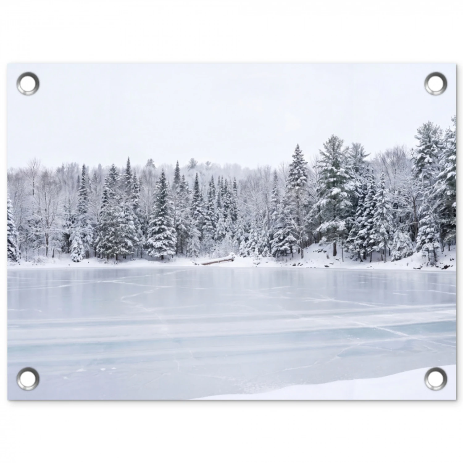 Meer - Dennen - IJs - Winter - Rustgevend tuinposter los doek klein -3d
