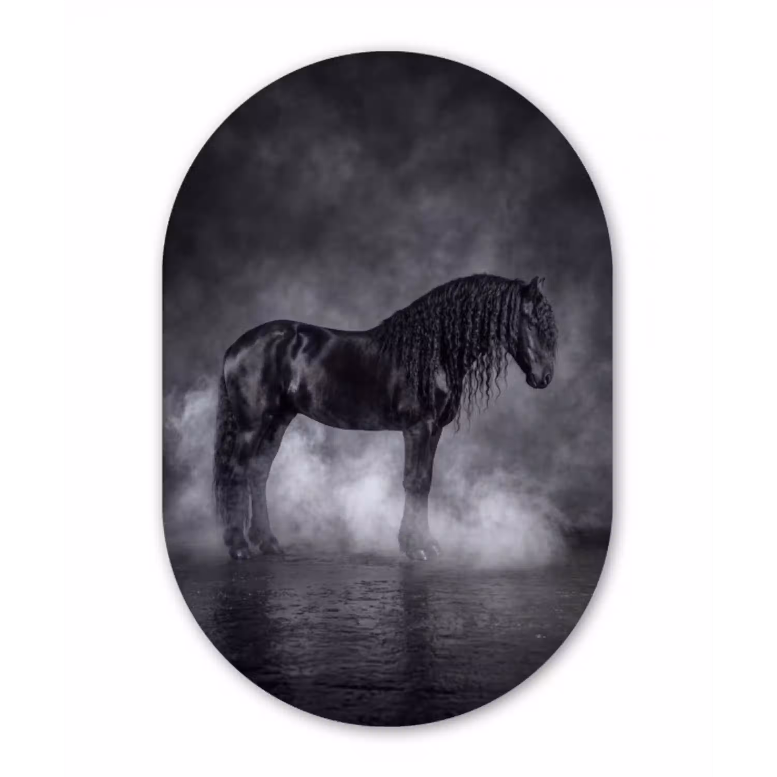 Paard - Magisch - Zwart Wandcirkel Ovaal Aluminium middel -3d