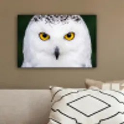 Sneeuwuil - Portret - Geel canvas 2cm klein -sfeer3