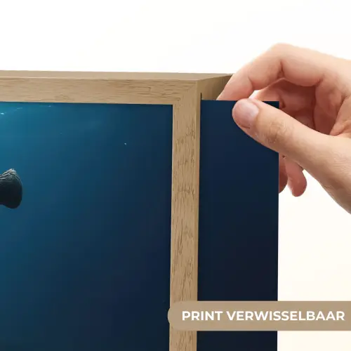 Anker - Ijzer - Zeebodem - Zand Light Box met batterij (Wandlamp) middel -USP_websiteprintNL