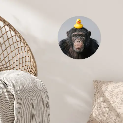 Chimpansee - Badeend - Grijs Wandcirkel behangsticker klein -sfeer4