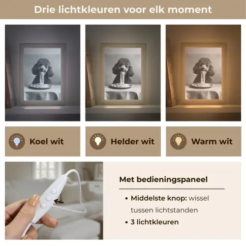 Poedel - Hond - Zwart - Wit - Schattig - Pasta Light Box met kabel (Tafellamp) klein -USP_lichtkleurNL