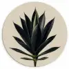 Agaveplant - Symmetrisch - Groen Wandcirkel kunststof plaat 5mm dik klein -3d
