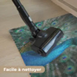 Pauw - Veren - Blauw Deurmat klein -reinigen_FR