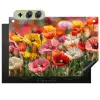 Bloemenveld - Klaprozen - Kleurrijk Inductie beschemer met haakjes klein -3d