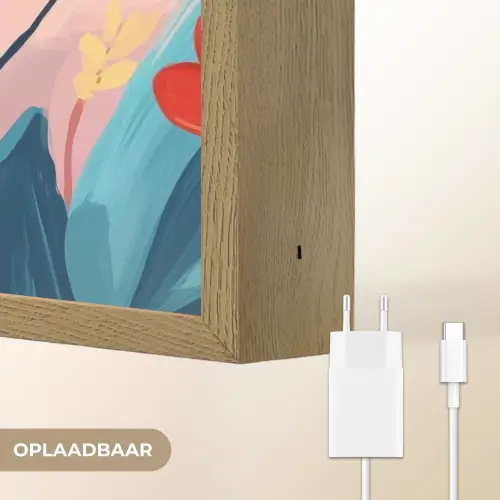 Illustratie - Bloemen - Kleurrijk Light Box met batterij (Wandlamp) middel -USP_websiteoplaadbaarNL