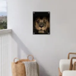 Leeuw in het schaduwlicht tuinposter los doek klein -sfeer8