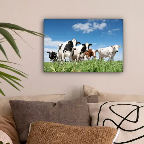 Koeien - Platteland - Weiland - Natuur - Dieren canvas 2cm klein -sfeer1