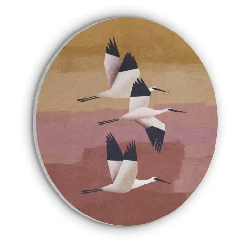 Vogels - Snavel - Abstract Akoestische PET Vilt - Rond klein -3d
