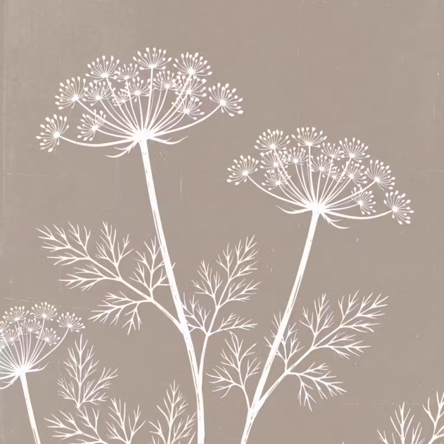 Behang - Grafisch - Fluitenkruid - Taupe