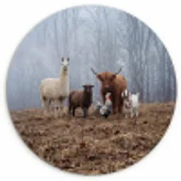 Boerderijdieren - Groep - Mist - Natuur - Rustiek Wandcirkel kunststof plaat 5mm dik klein -3d
